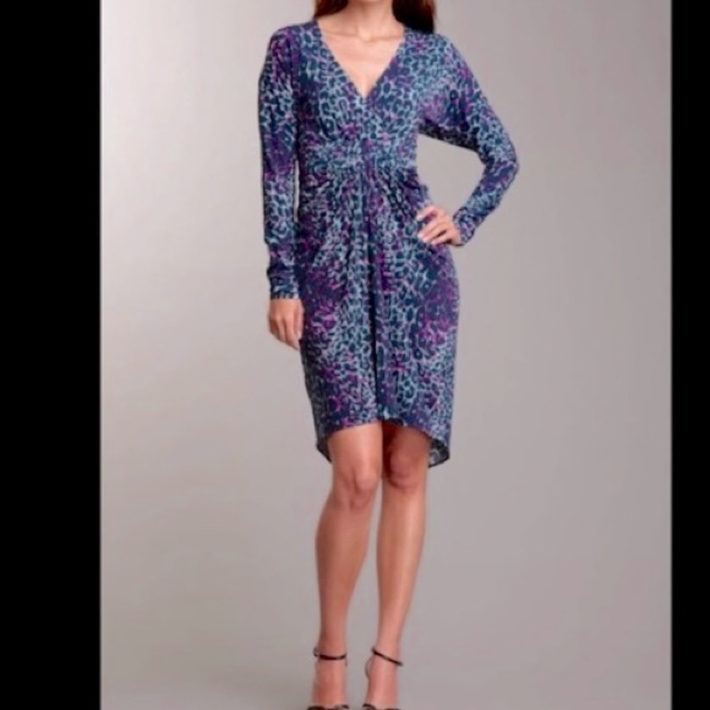 BCBG Max Azria blue purple leopard print dress